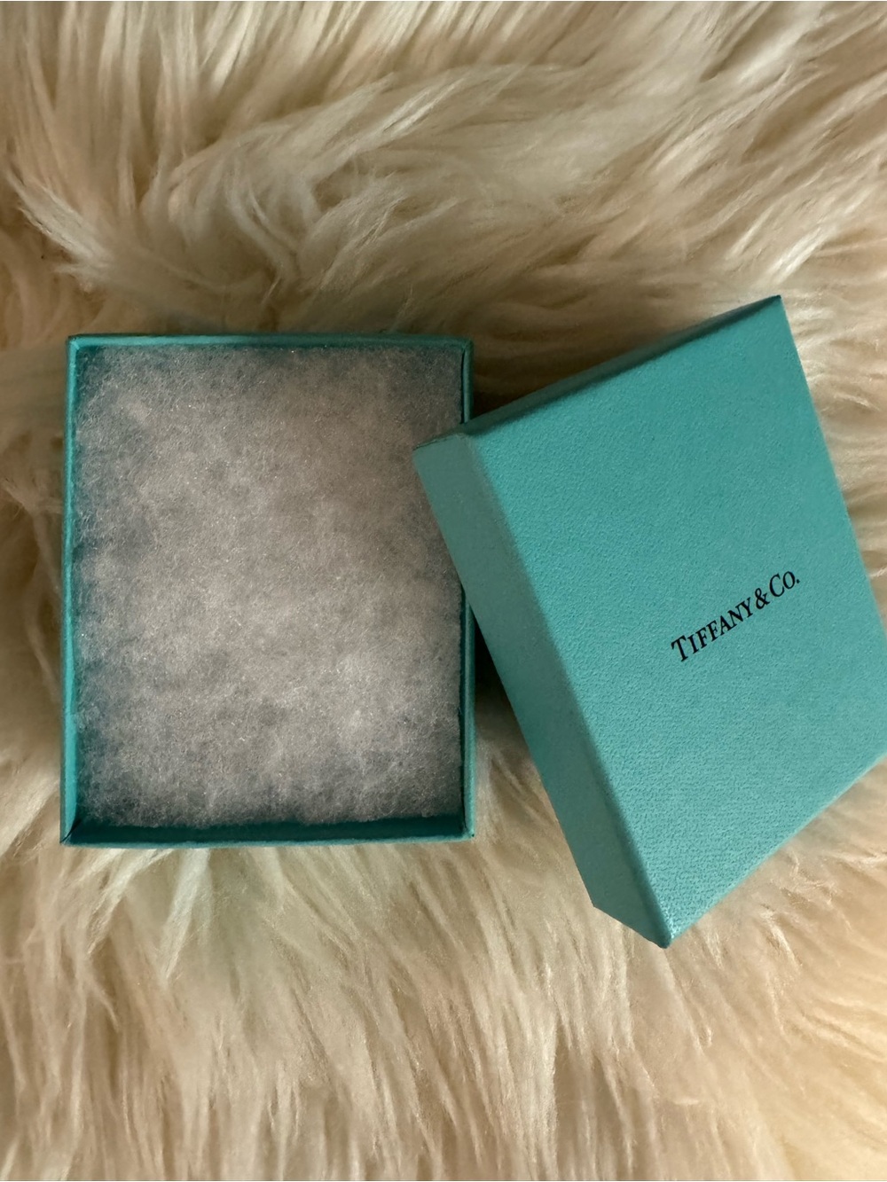 Tiffany & Co. Jewelry Gift Box